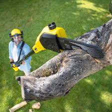 Lawn Edging in Hayfork, CA
